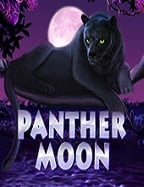 pg slot ฝาก 100 เล่นง่าย ได้เงินไว